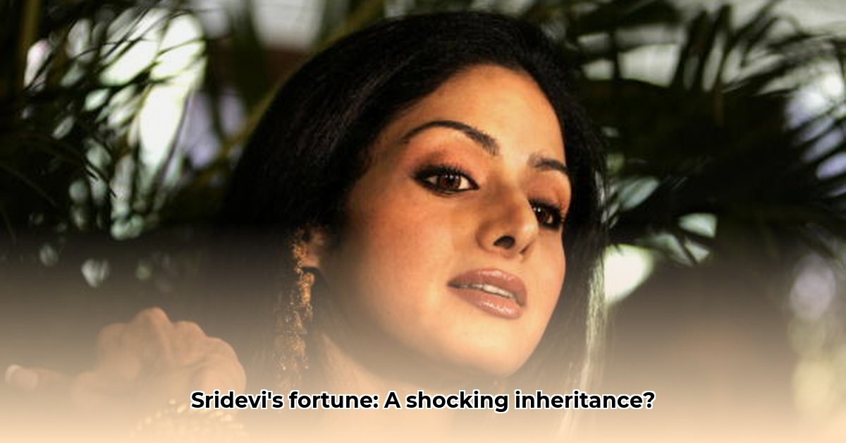 net-worth-of-sridevi